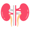 Renal Function Tests (RFTs)