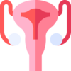 reproductive-system