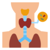 thyroid